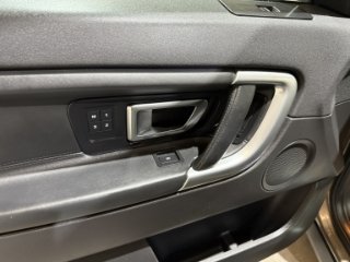 /photos/10117/638894866562233984fromios_i320x240.jpg